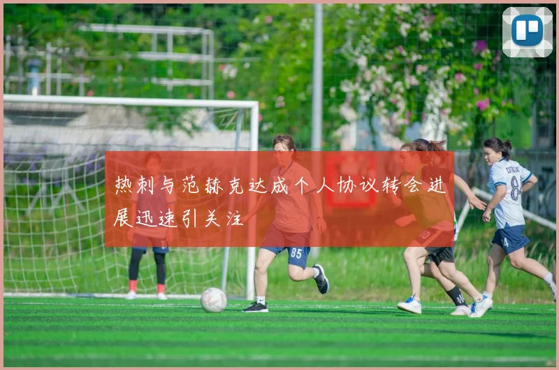 热刺与范赫克达成个人协议转会进展迅速引关注